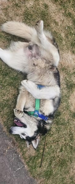 NANOOK - menschenbezogen und pfiffig