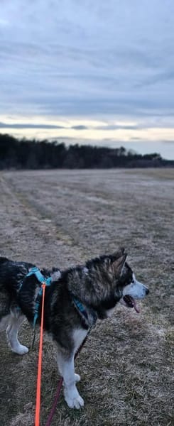 NANOOK - menschenbezogen und pfiffig
