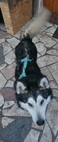 NANOOK - menschenbezogen und pfiffig