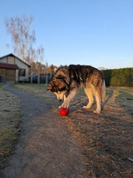NANOOK - menschenbezogen und pfiffig