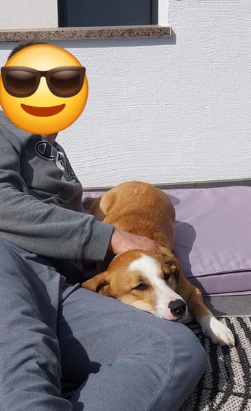 Mica - ein echtes Juwel auf 4 Pfoten