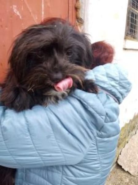 Stine 33 cm (Pflegestelle)