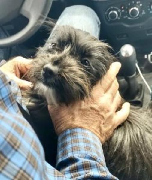 Stine 33 cm (Pflegestelle)