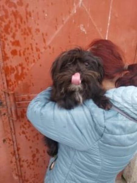 Stine 33 cm (Pflegestelle)