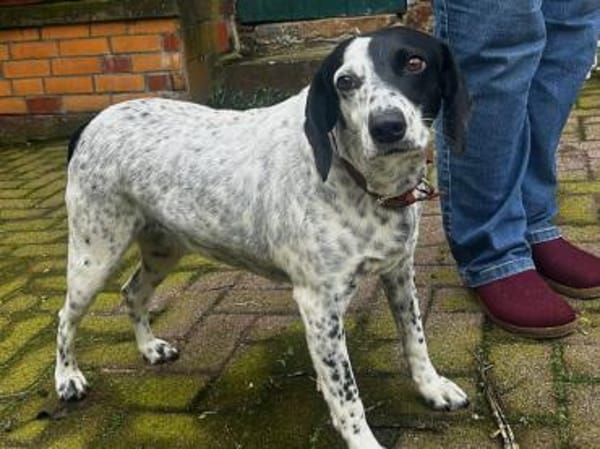 Betty hofft auf eine Familie