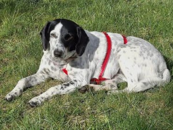 Betty hofft auf eine Familie