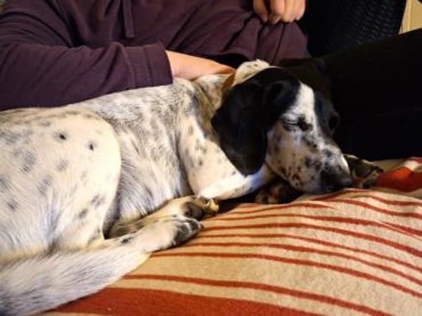 Betty hofft auf eine Familie