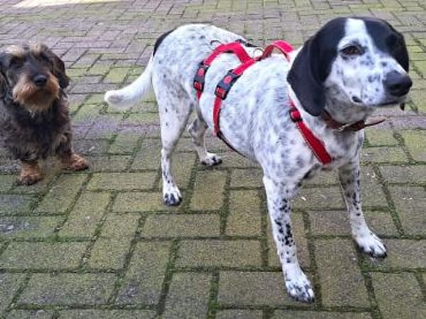 Betty hofft auf eine Familie