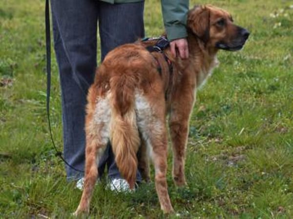 Lulu sucht engen Familienanschluss