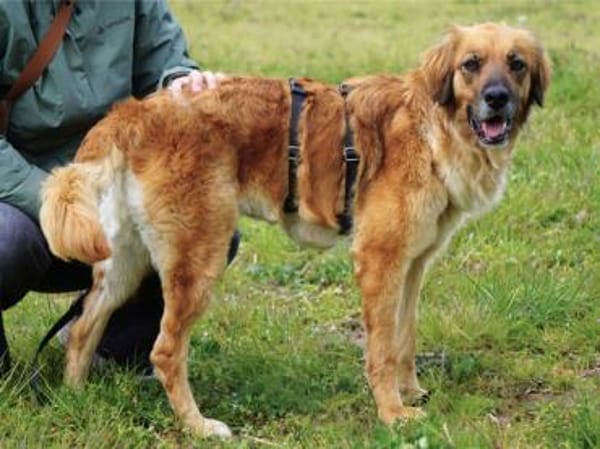 Lulu sucht engen Familienanschluss