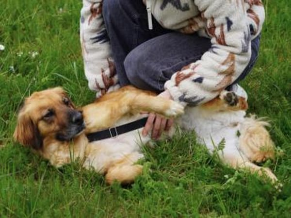 Lulu sucht engen Familienanschluss