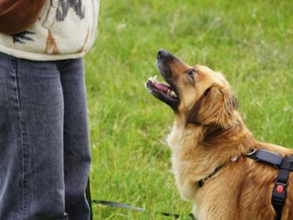 Lulu sucht engen Familienanschluss