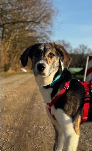 Zauberhafte Bini sucht ihre Menschen