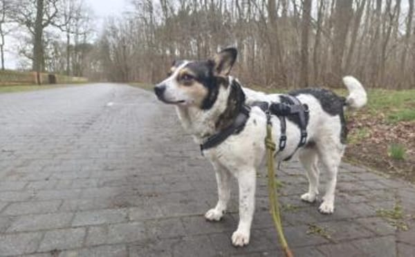 Noa ist bereit für ein neues Leben