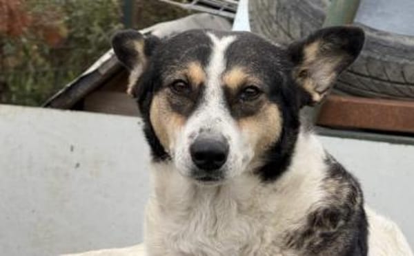 Noa ist bereit für ein neues Leben