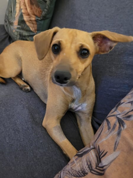 PERLE le bijou des îles