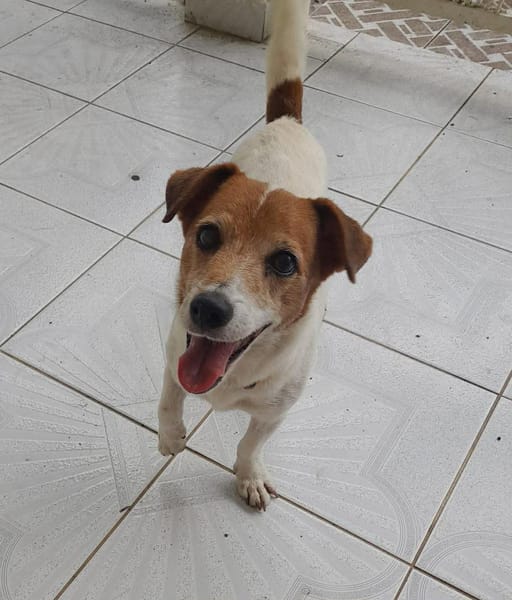 RUDY la boule d'énergie