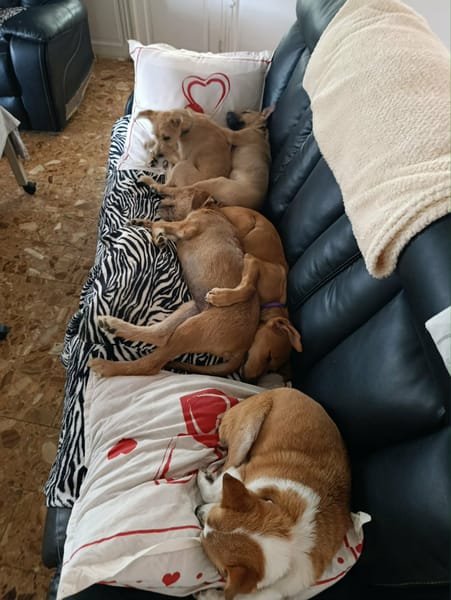 Youpi, bébé joyeux