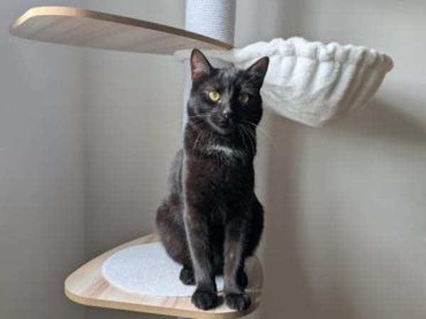 Bruno sucht engen Familienanschluss