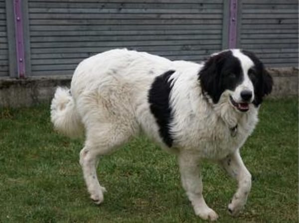 Übernehmen Sie Verantwortung für Landro?