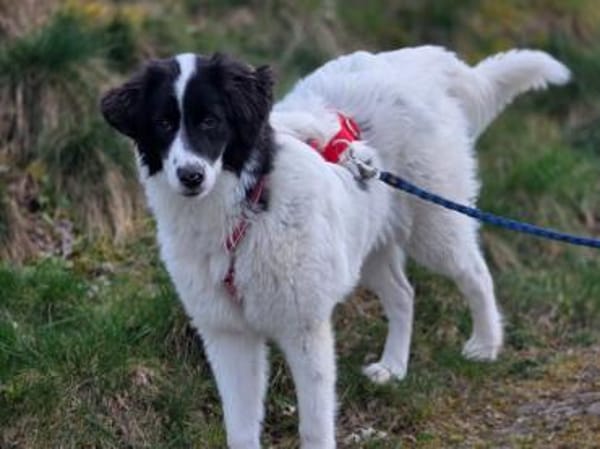 Letizia hofft auf ihre Chance