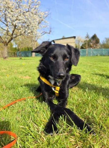 GJORA * zartes Mädchen mit Sorgen