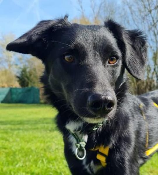 GJORA * zartes Mädchen mit Sorgen