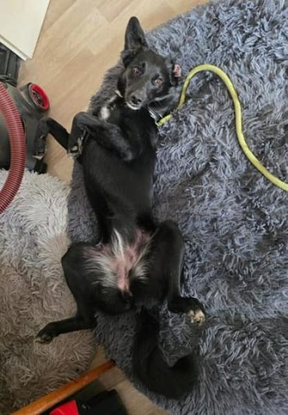 GJORA * zartes Mädchen mit Sorgen