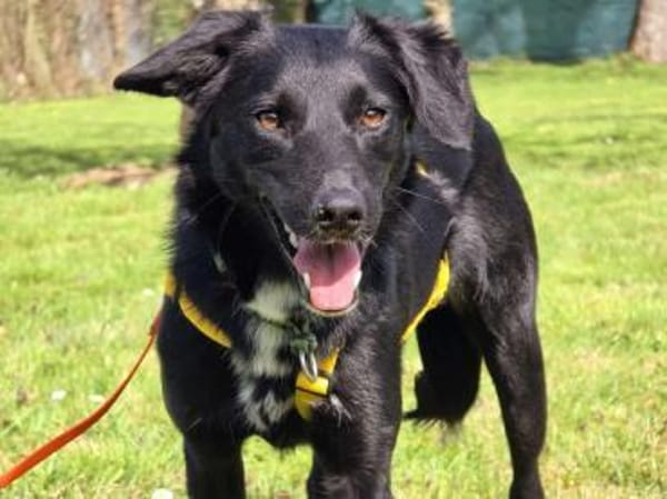 GJORA * zartes Mädchen mit Sorgen