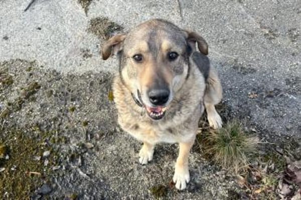 Finn -  möchte die Welt erobern