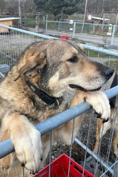 Finn -  möchte die Welt erobern