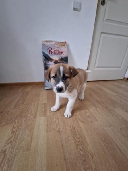 Tyler, auf der Suche nach seinem Glück