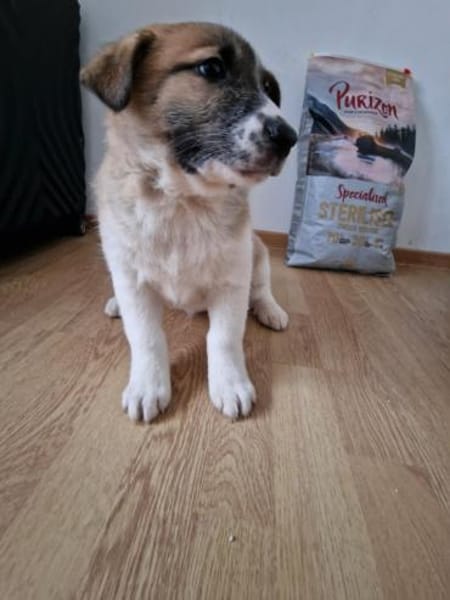 Tyler, auf der Suche nach seinem Glück