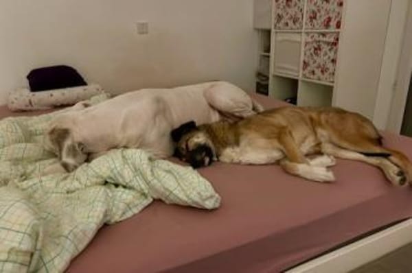 Rey - Loyale Freundin sucht Dich!