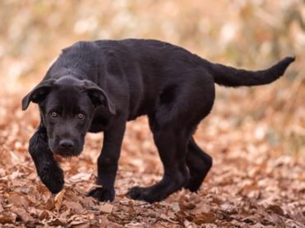 Palma möchte Ihnen Freude bereiten