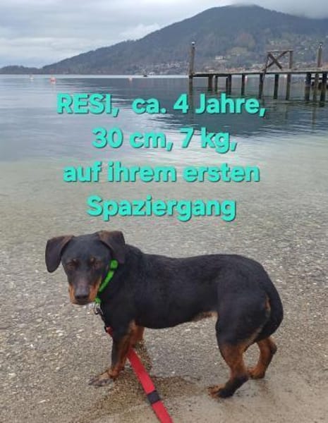 RESI  hofft auf liebevolles Zuhause