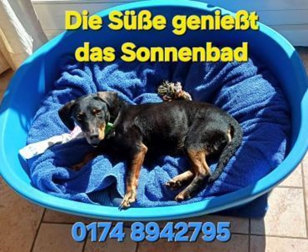 RESI  hofft auf liebevolles Zuhause