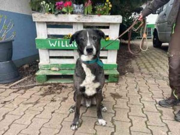 Emil su. ländl. Zuhause