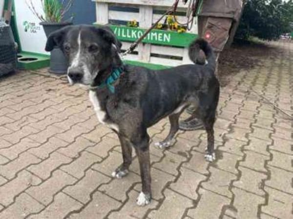 Emil su. ländl. Zuhause