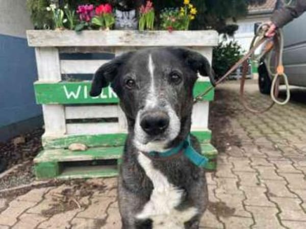 Emil su. ländl. Zuhause