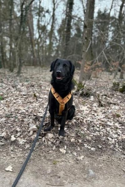 Blacky - Das Glück zum Greifen nah