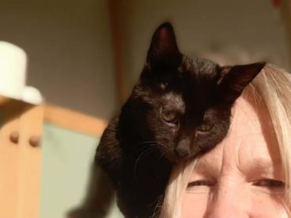 Zuki, neugieriger Pantherjunge, ca. 6 Mo