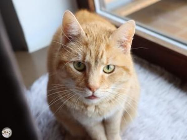 Paula und Charlie suchen ruhiges Zuhause