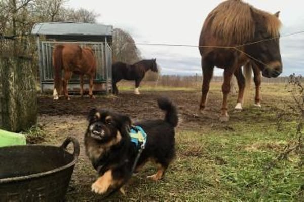 Nannos Charme muss man einfach erliegen!