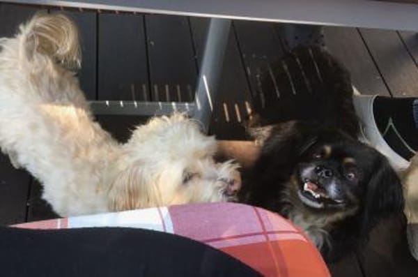 Nannos Charme muss man einfach erliegen!