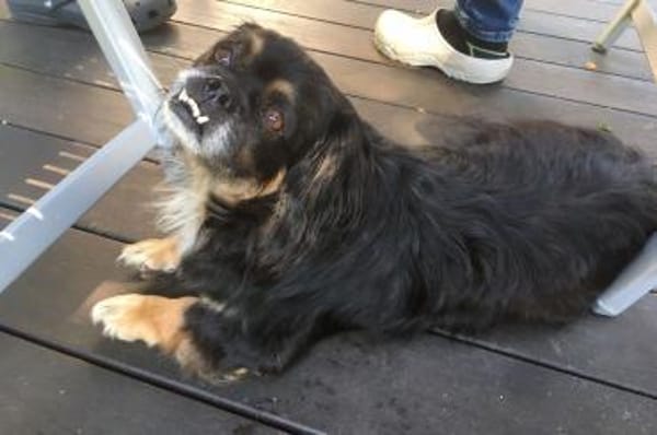 Nannos Charme muss man einfach erliegen!