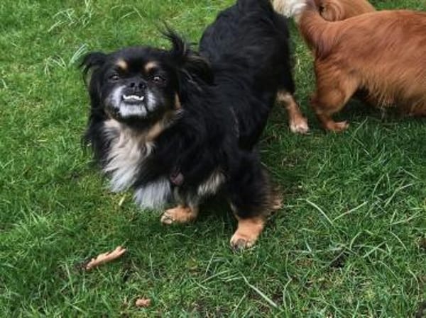 Nannos Charme muss man einfach erliegen!