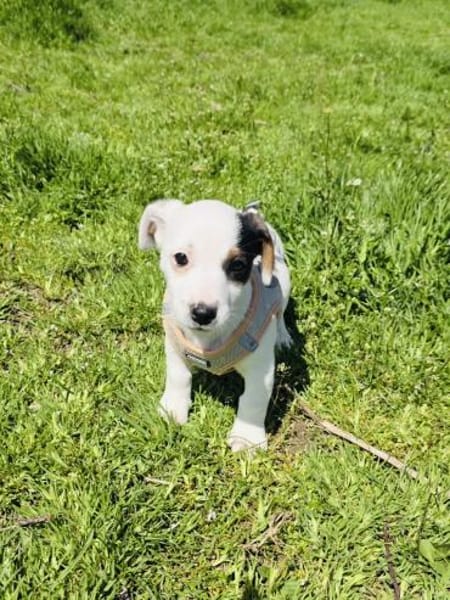 Melody ein kleines Mädchen