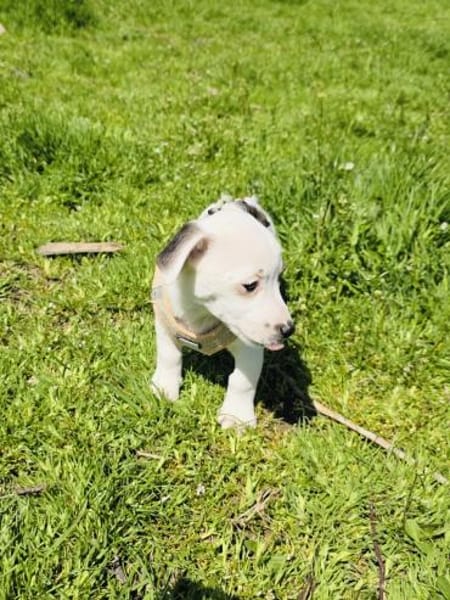 Melody ein kleines Mädchen