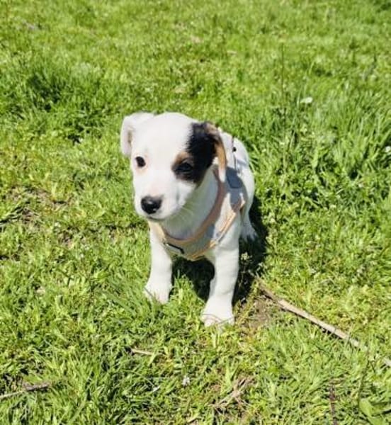 Melody ein kleines Mädchen